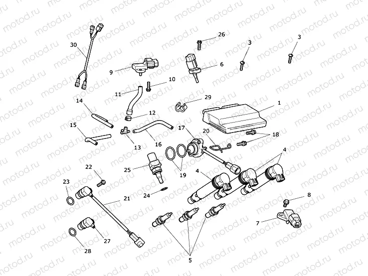Engine Management System