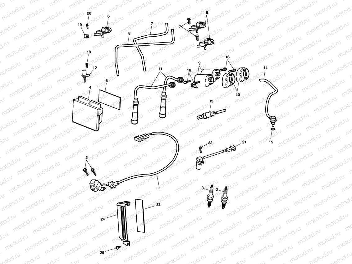 Engine Management System