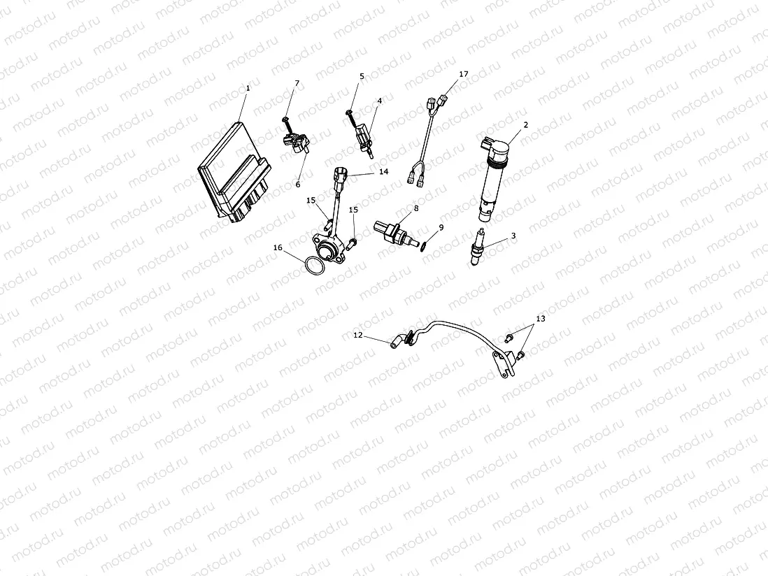 Engine Management System