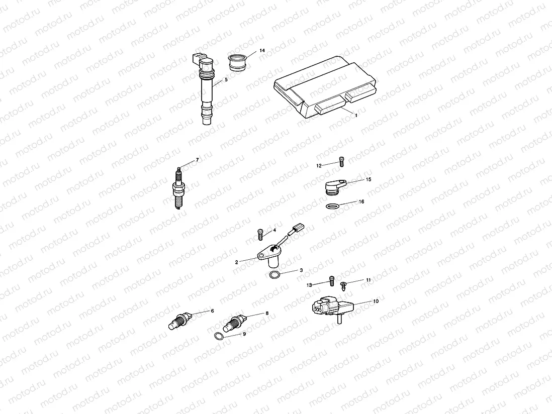 Engine Management System