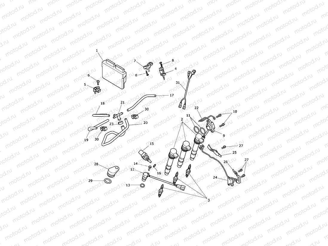 Engine Management System