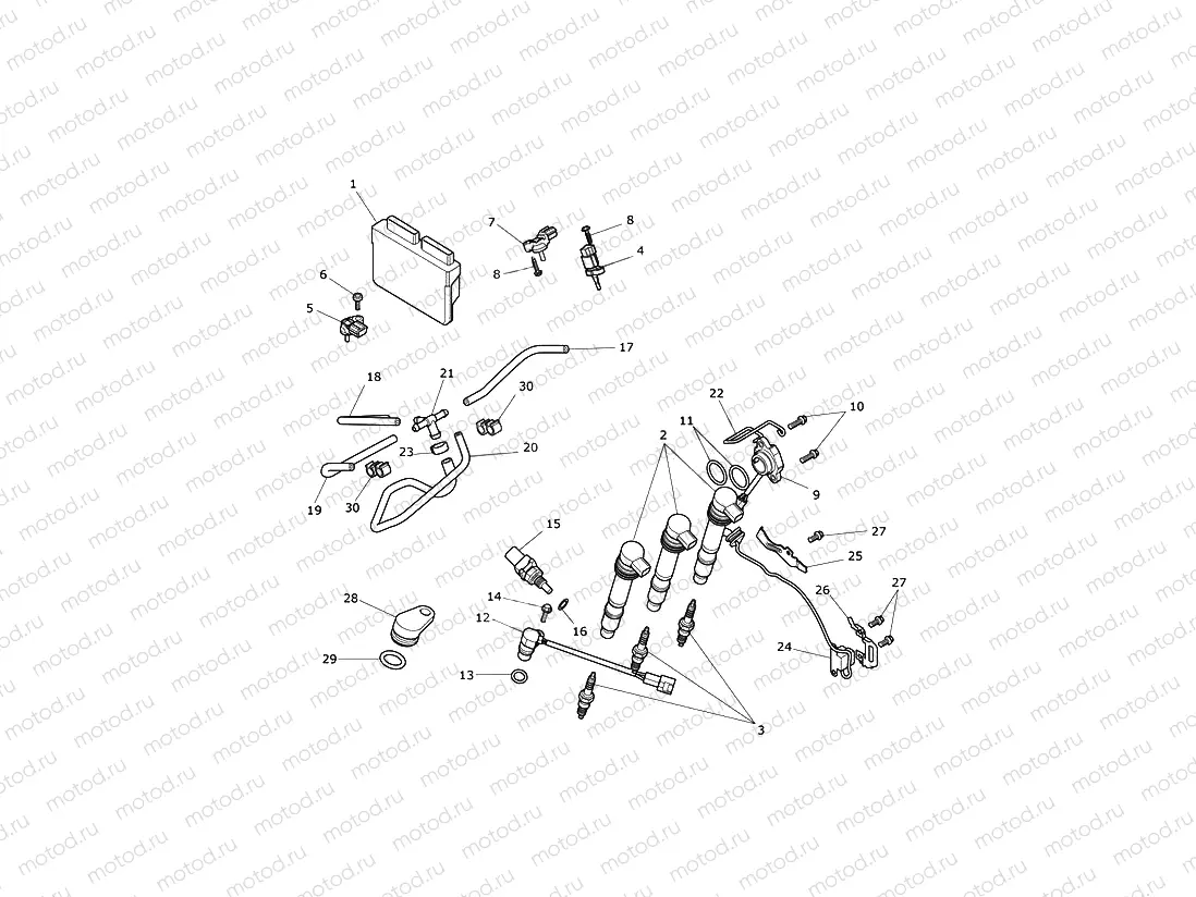 Engine Management System