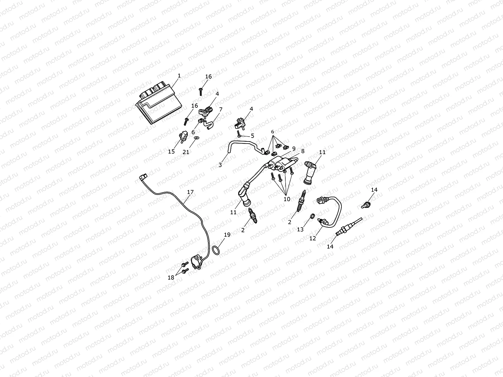 Engine Management System