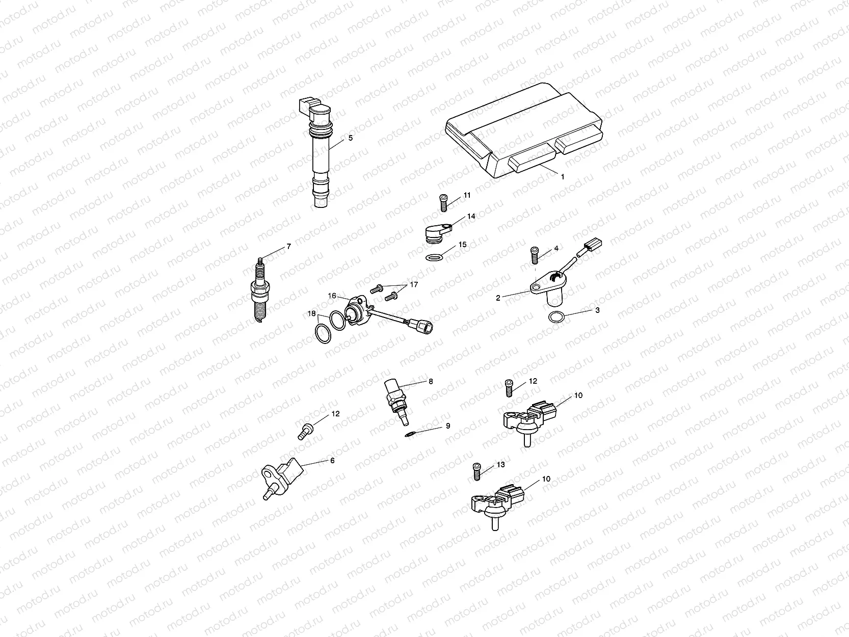 Engine Management System