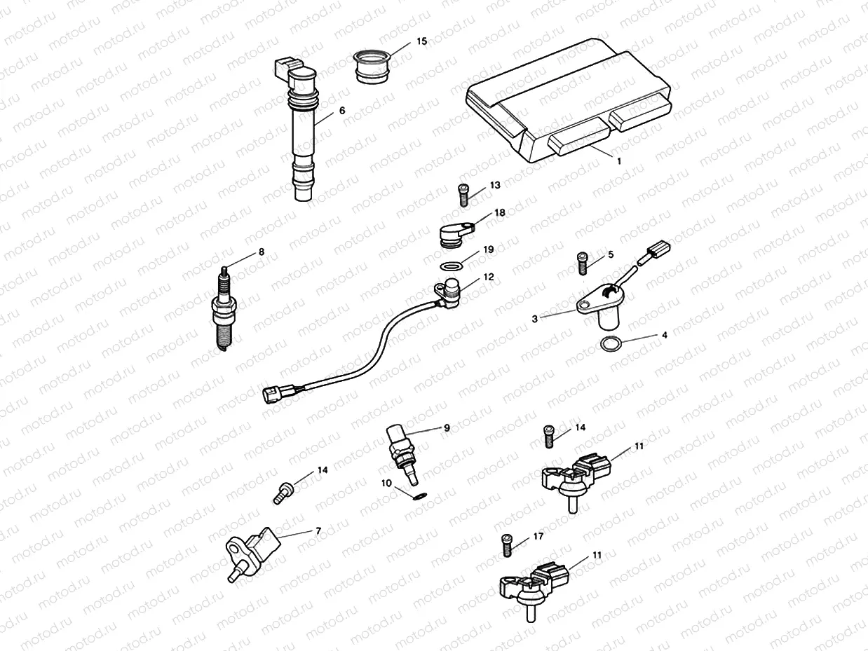 Engine Management System