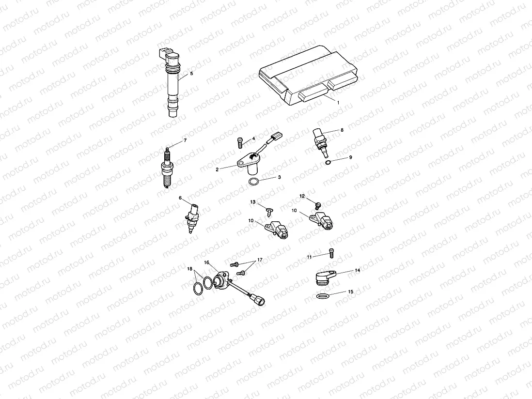 Engine Management System