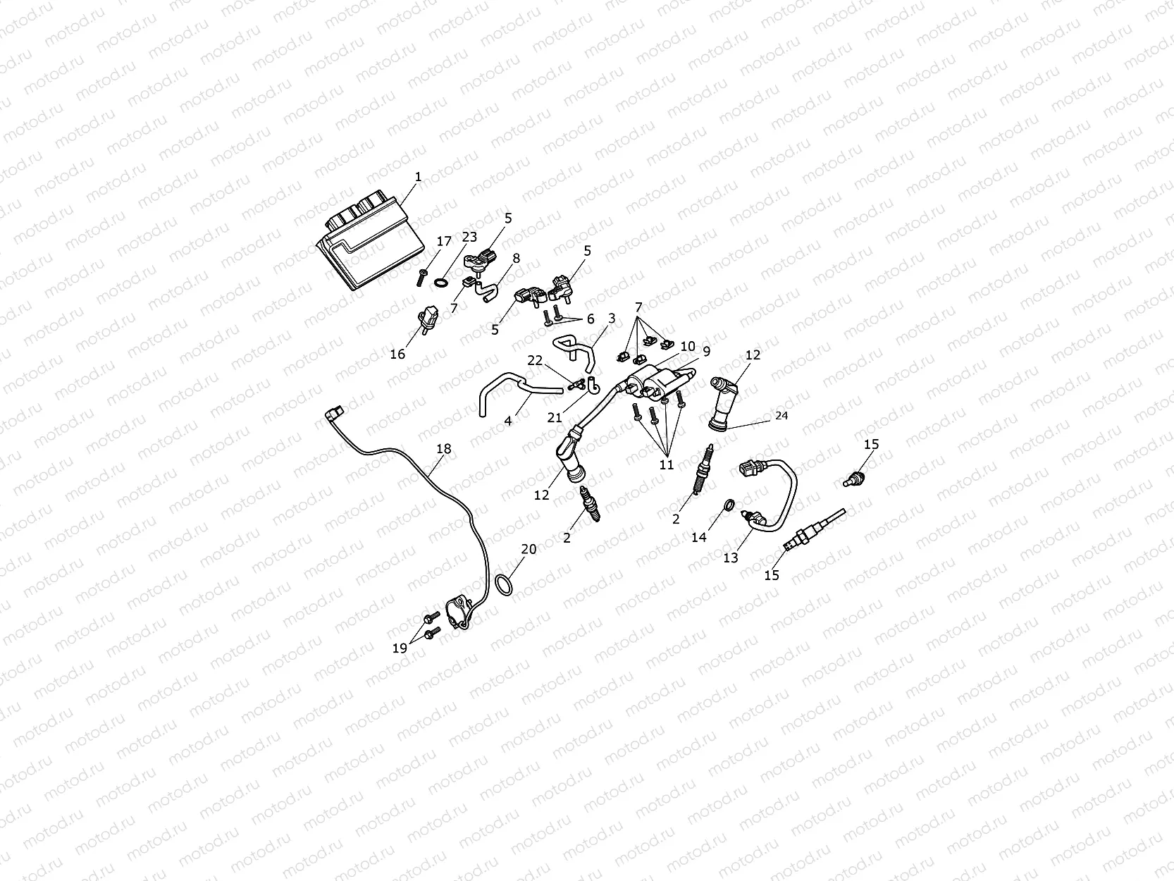 Engine Management System