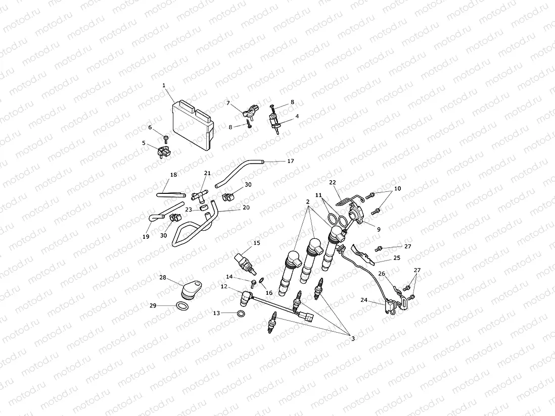 Engine Management System