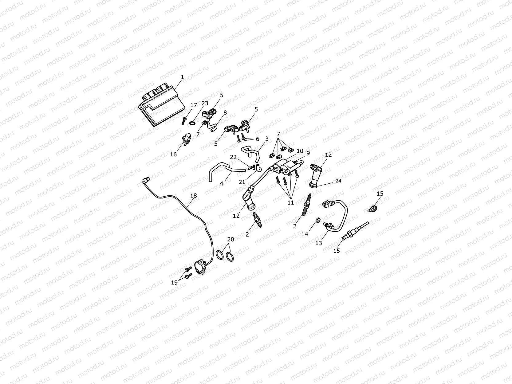 Engine Management System