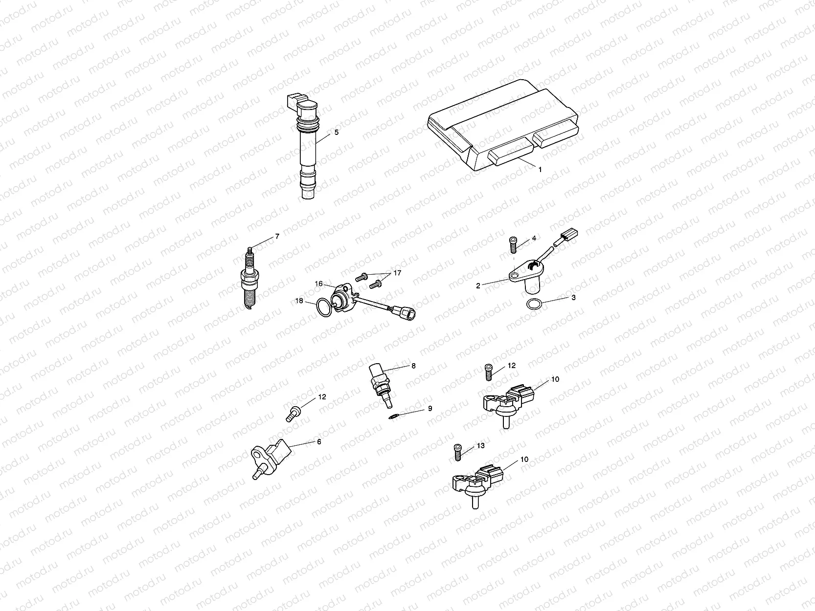 Engine Management System
