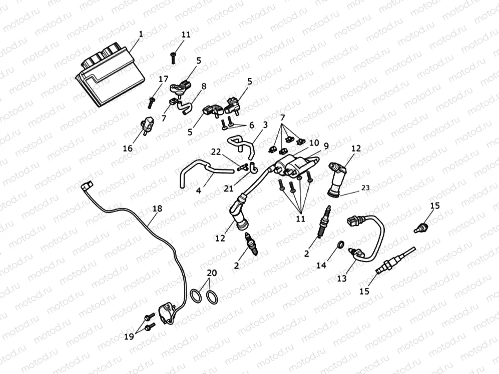 Engine Management System