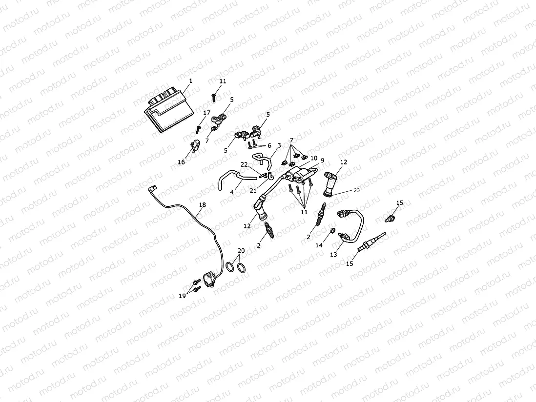 Engine Management System