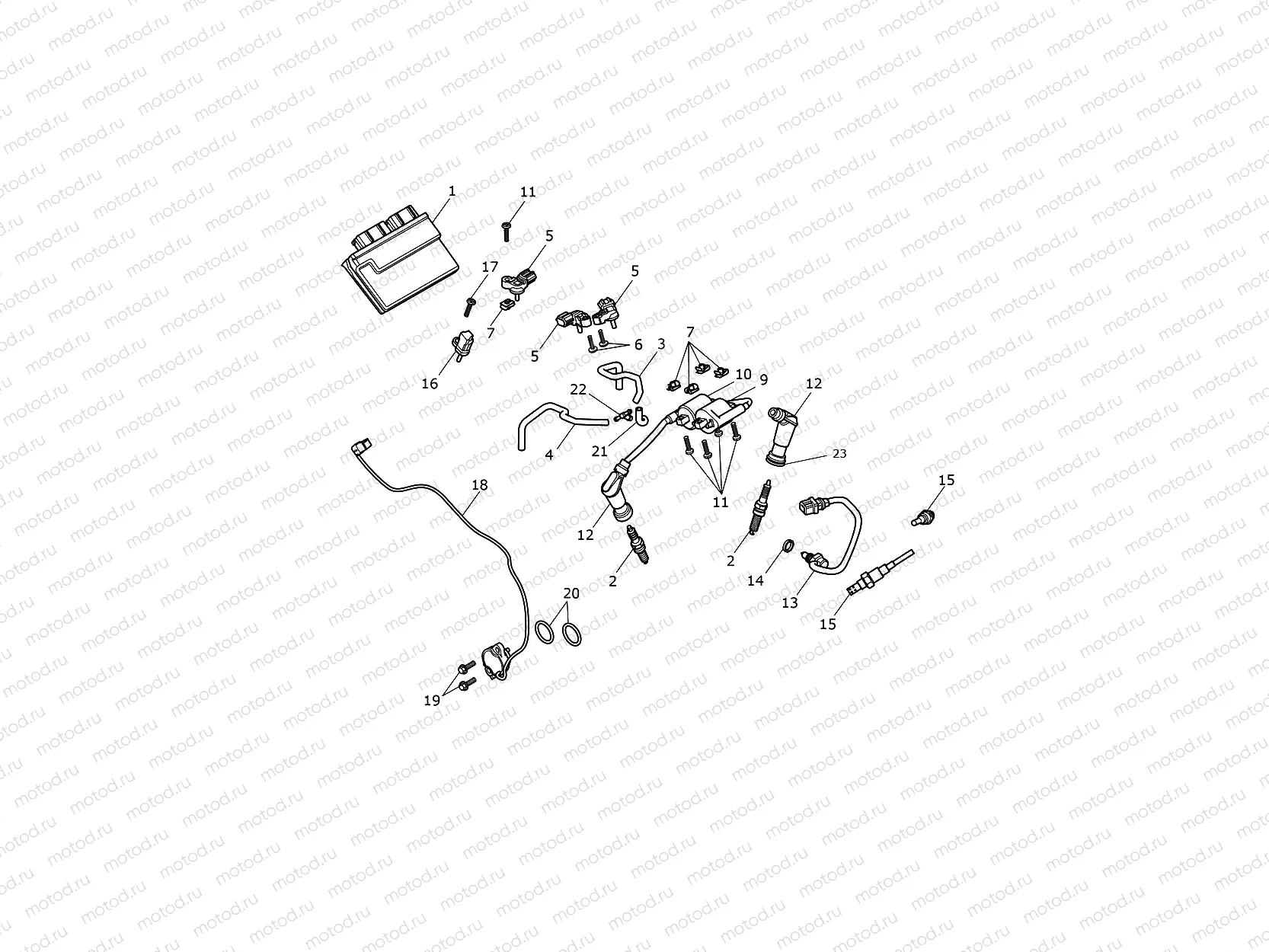 Engine Management System
