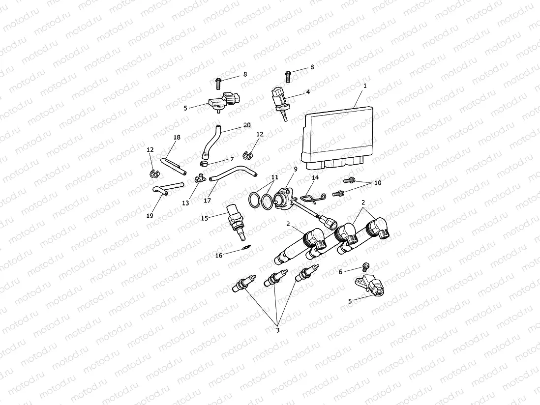 Engine Management System