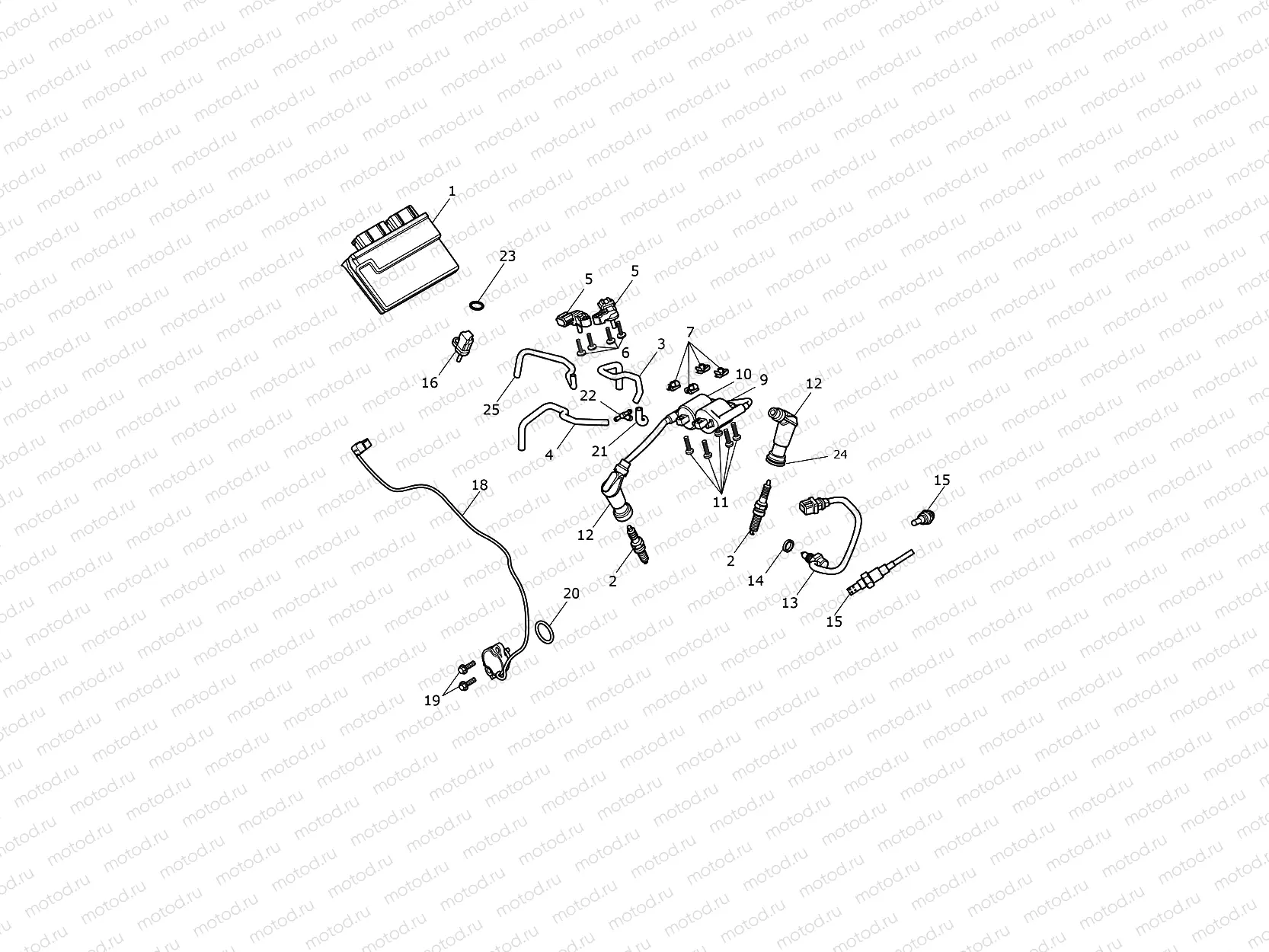 Engine Management System