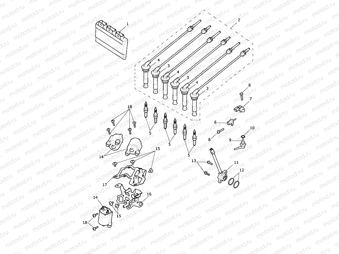Engine Management System