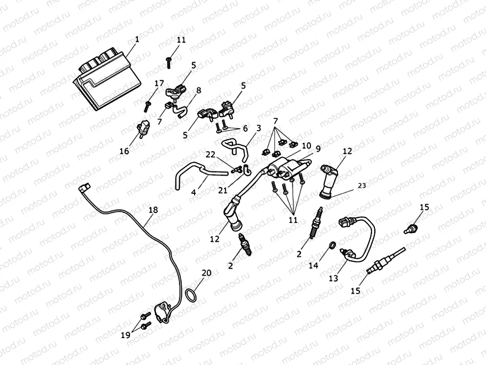 Engine Management System