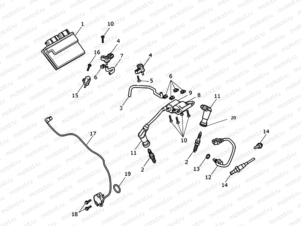 Engine Management System