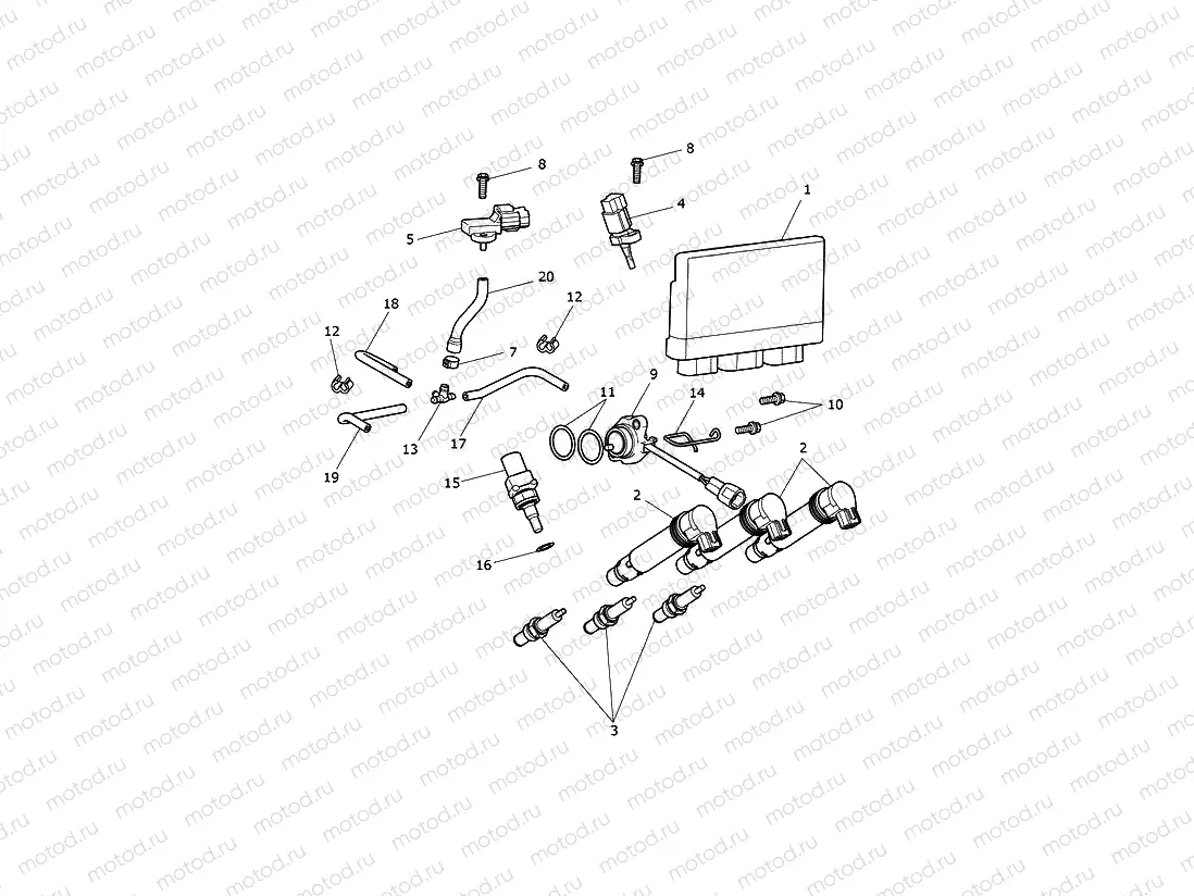 Engine Management System