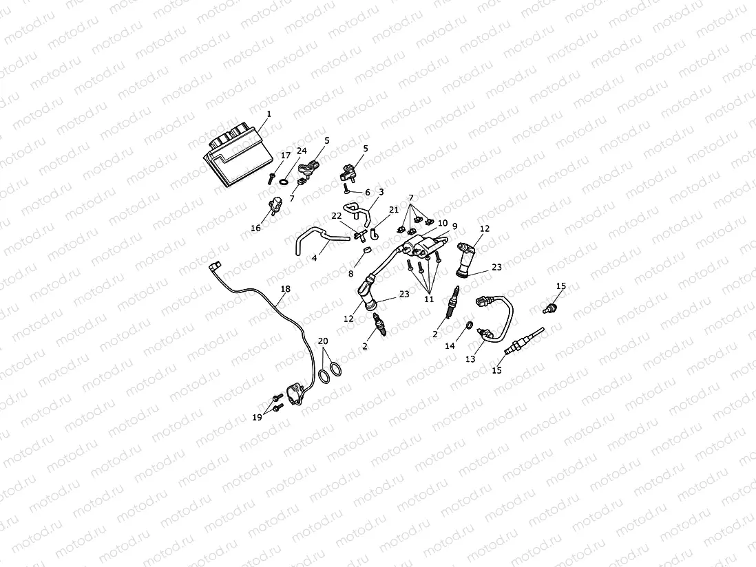 Engine Management System