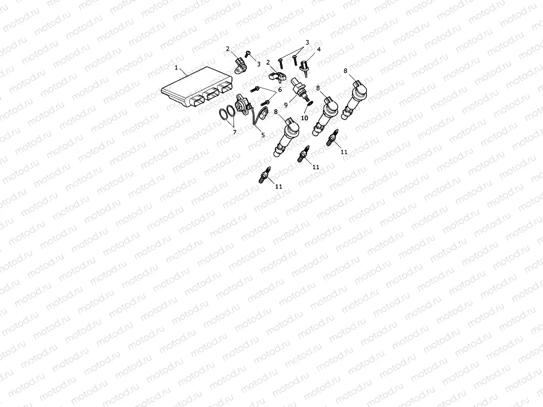 Engine Management System
