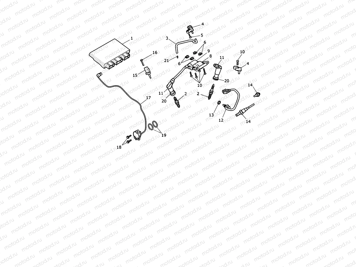 Engine Management System