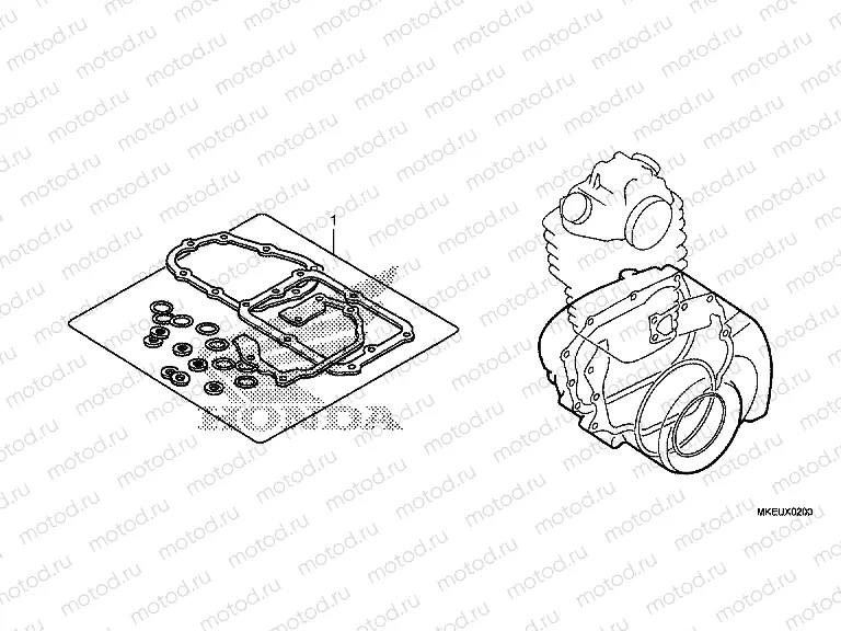 EOP-2 GASKET KIT B