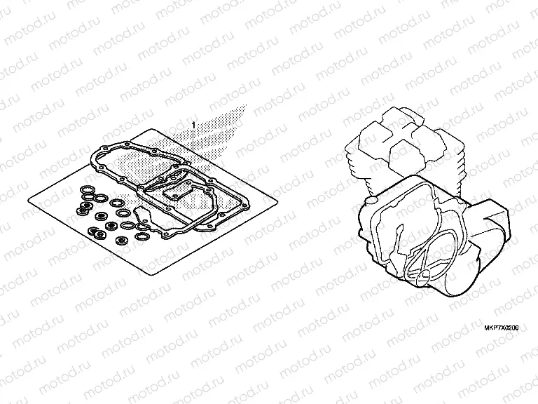 EOP-2 GASKET KIT B