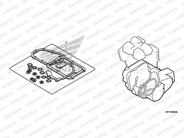 EOP-2 GASKET KIT B