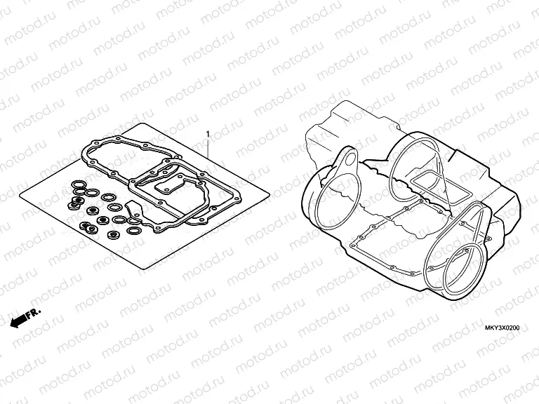 EOP-2 GASKET KIT B