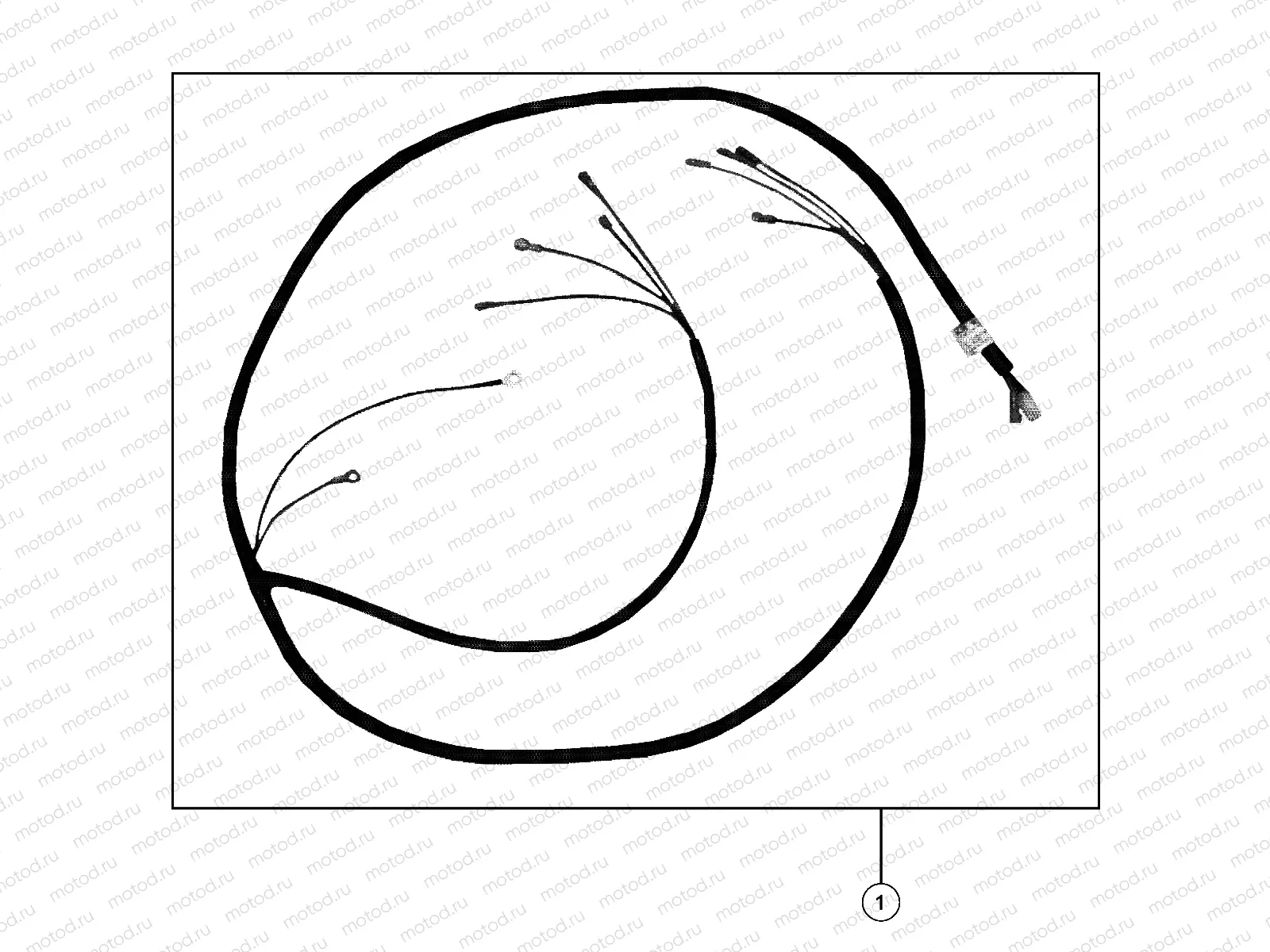 EUROPEAN COMPONENTS | EUROPEAN COMPONENTS, WIRE HARNESS, TAIL LIGHT - e2/e4/eS (49GEMEUROCOMPS11HARNESSES)