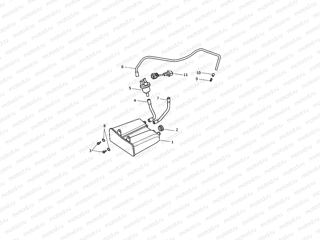 Evap System