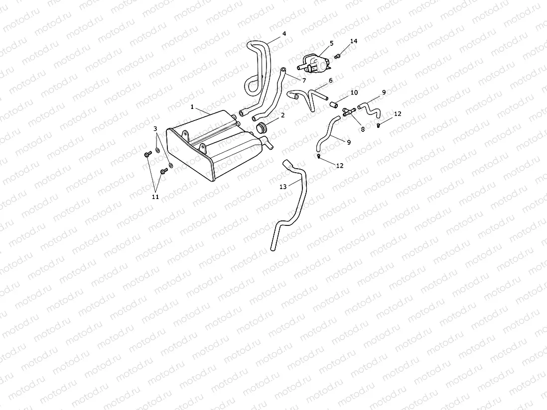 Evap System