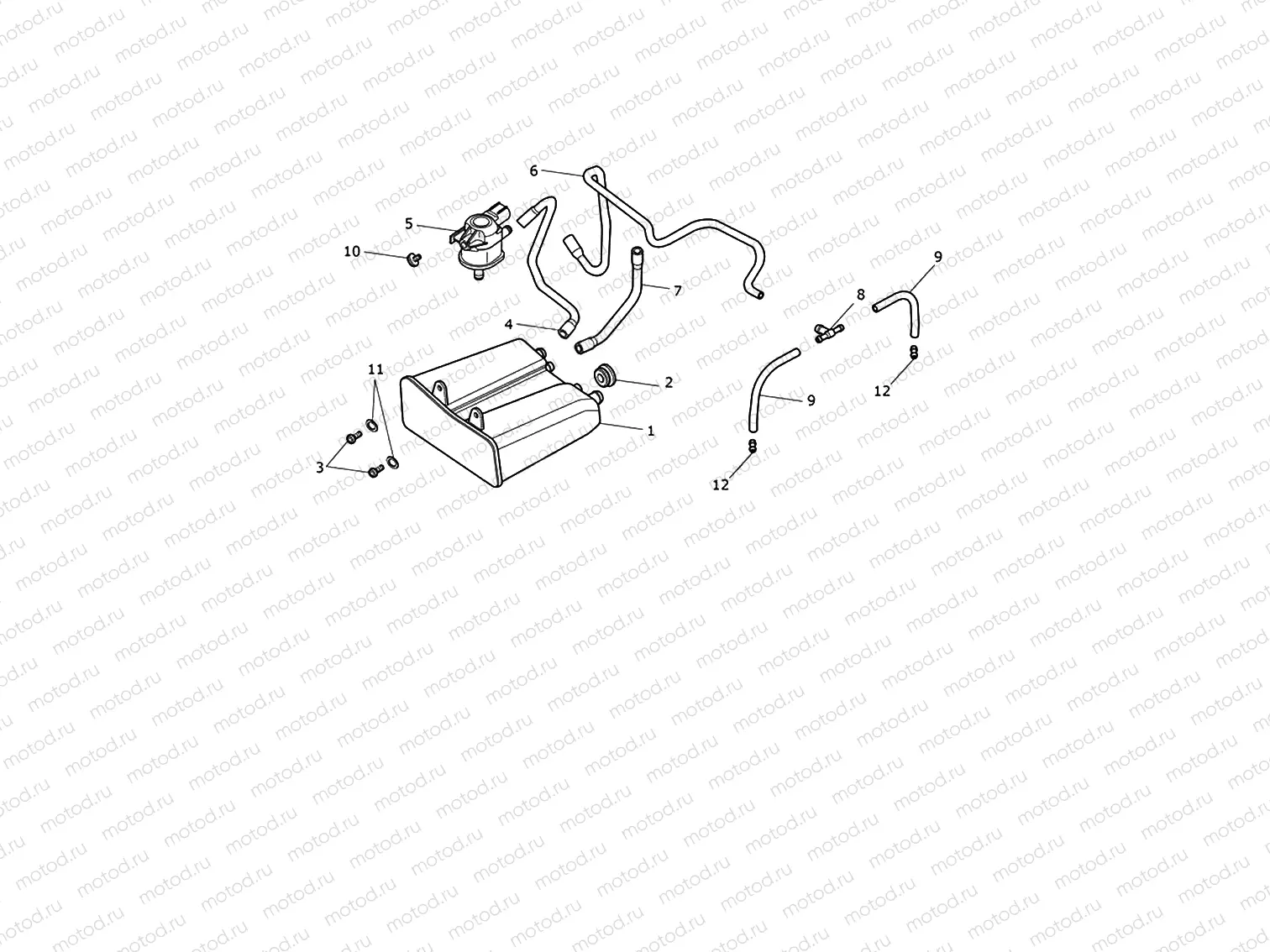Evap System