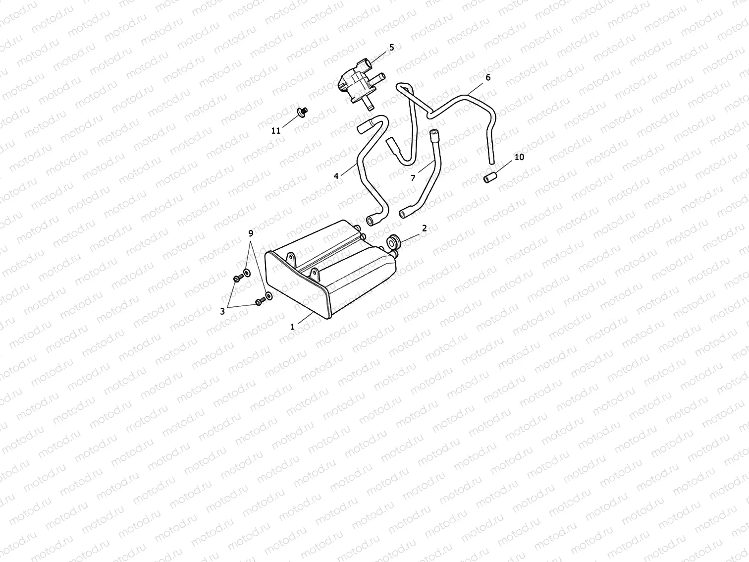 Evap System