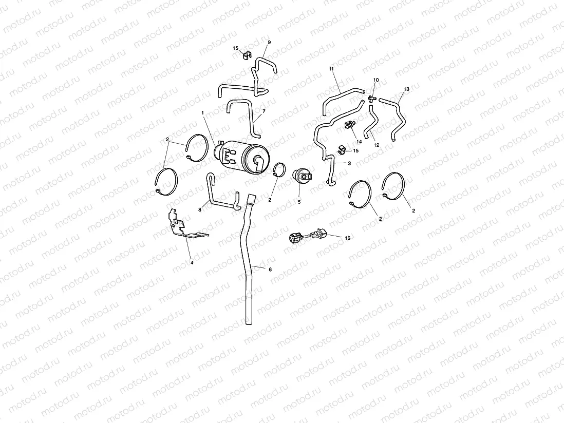 Evap System Roadster Canada