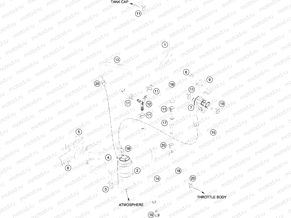 EVAPORATIVE CANISTER