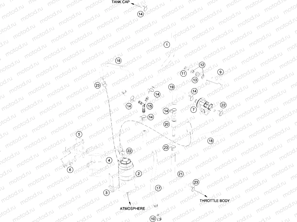 EVAPORATIVE CANISTER