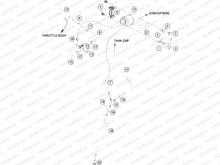 EVAPORATIVE CANISTER