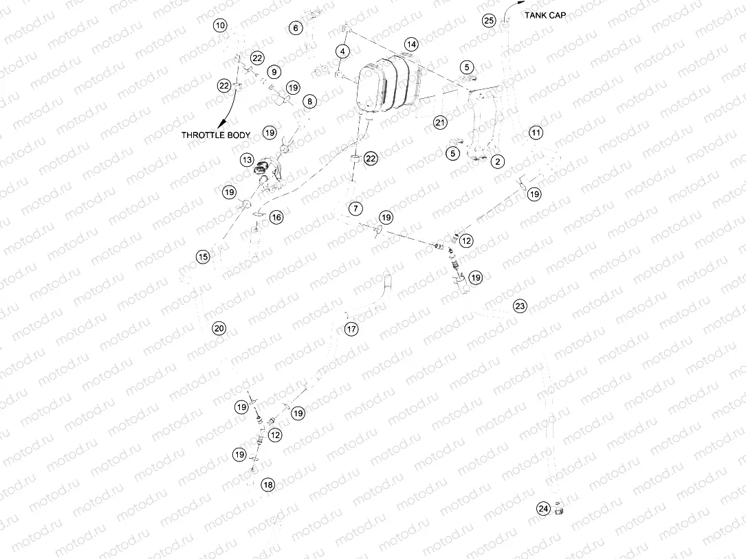 EVAPORATIVE CANISTER