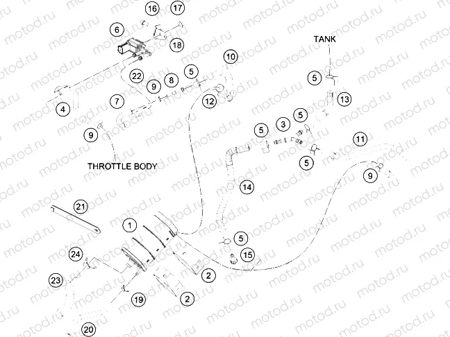 EVAPORATIVE CANISTER