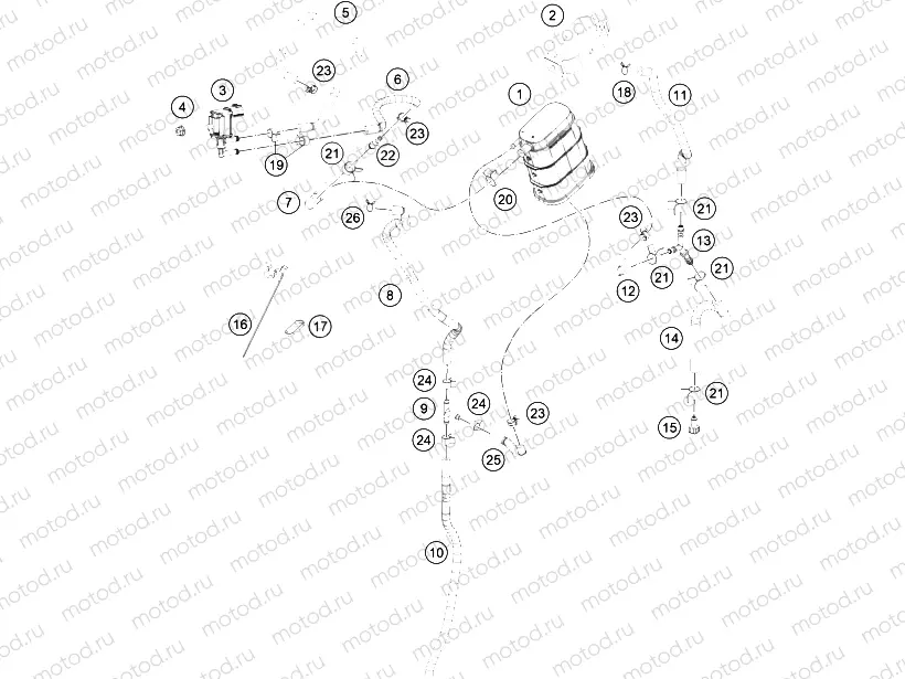 EVAPORATIVE CANISTER