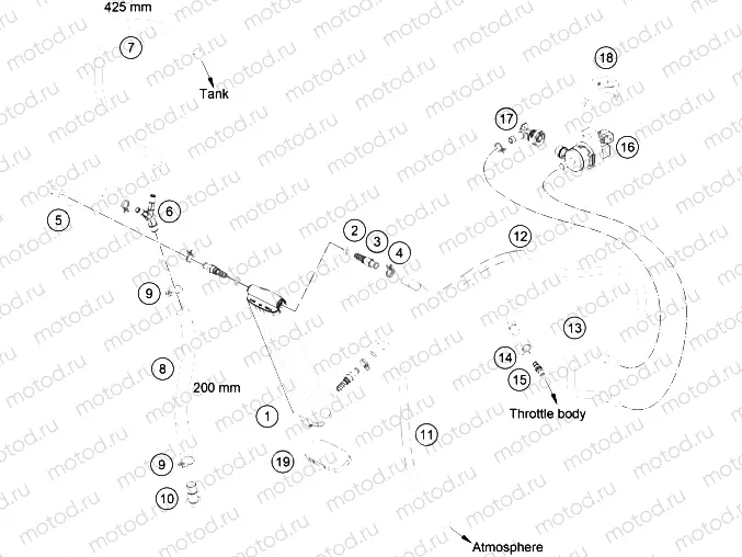 EVAPORATIVE CANISTER|Frame|15