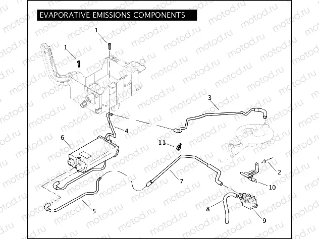 EVAPORATIVE EMISSIONS COMPONENTS
