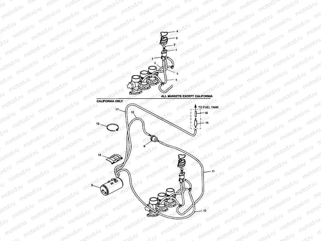 Evaporative Loss Control System