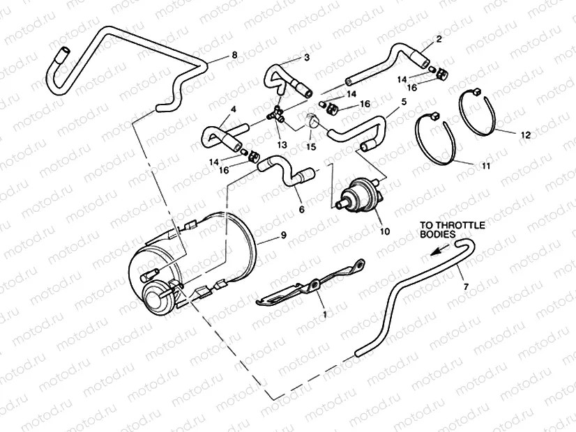 Evaporative Loss Control System