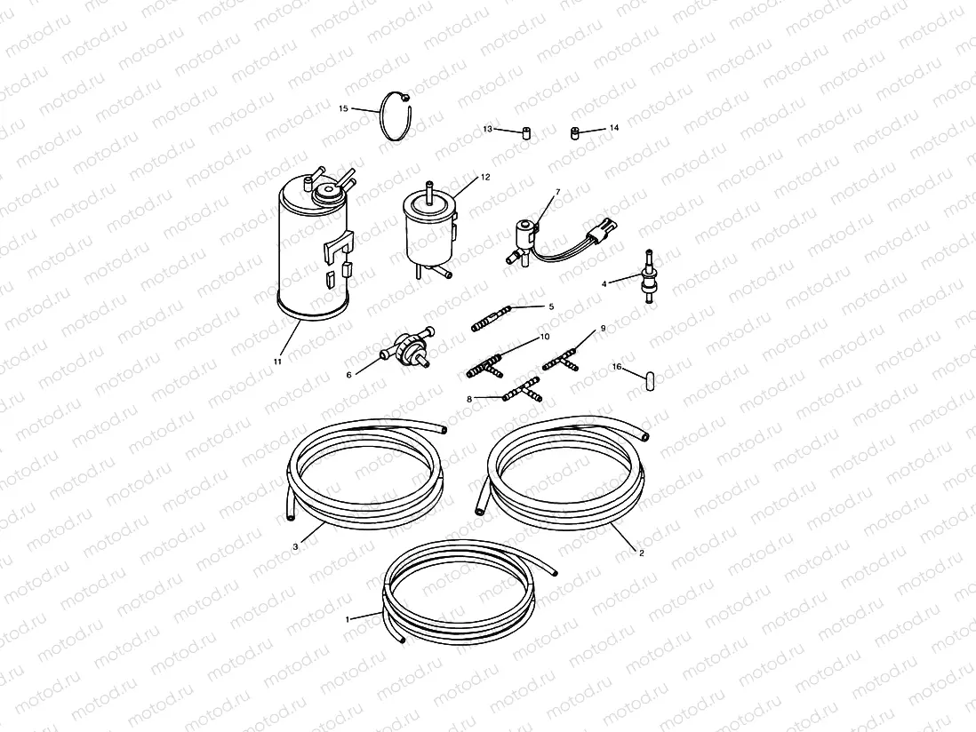 Evaporative Loss Equipment 4 Cyl (US California Models Only)