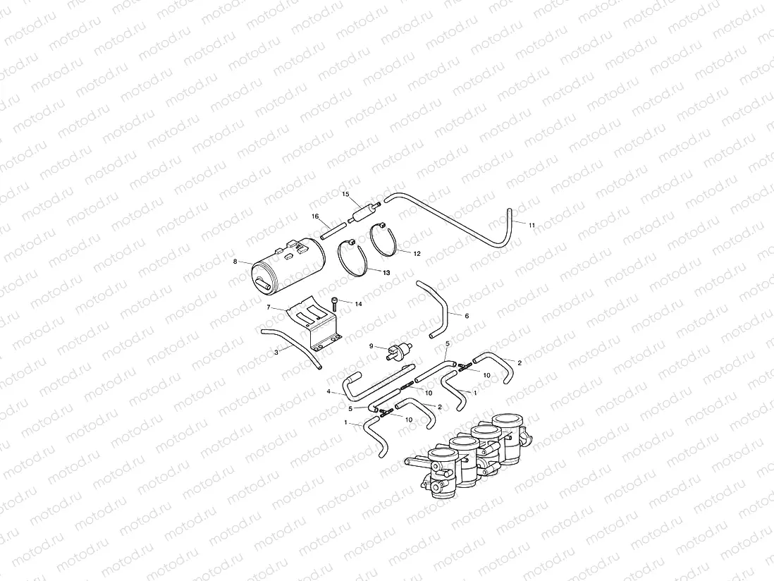 Evaporative Loss Equipment California only - Daytona 650