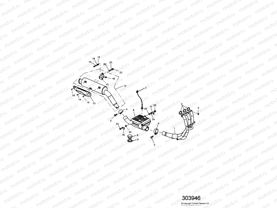 Exhaust System