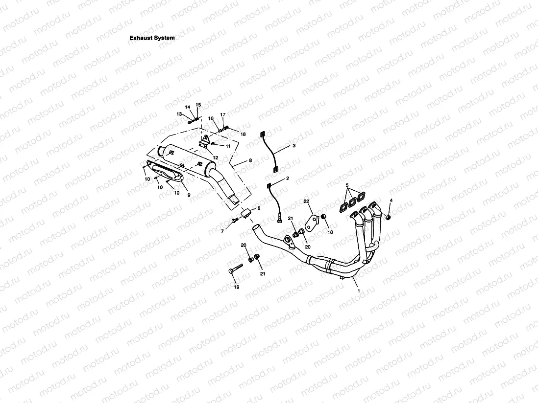 Exhaust System